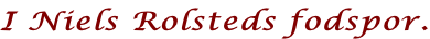 I Niels Rolsteds fodspor.